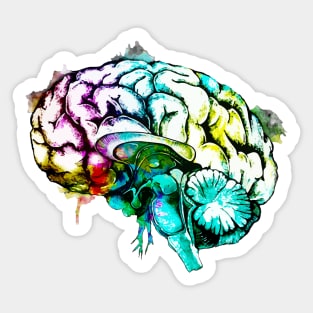 Color human brain watercolor mental health matters Sticker